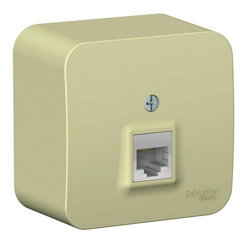 Розетка компьютерная RJ45 Systeme Electric BLANCA, открытый монтаж, бежевый, BLNIA045007